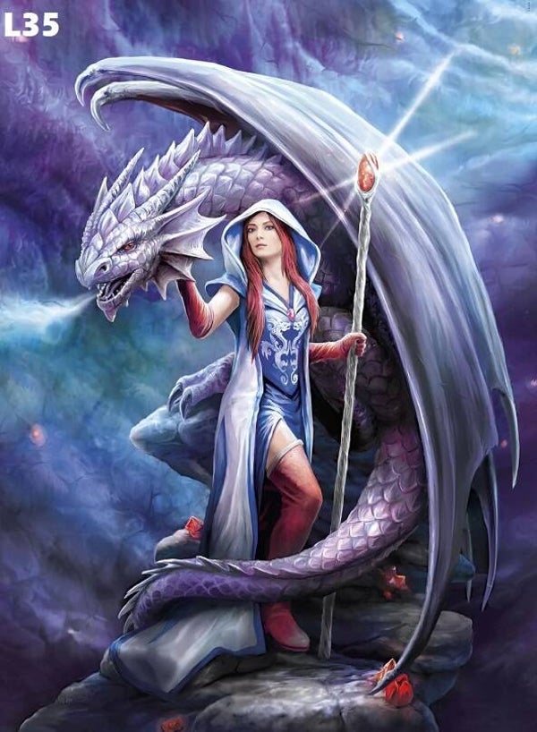 Tin Sign 40x30 L35 - Anne Stokes Dragon Mage