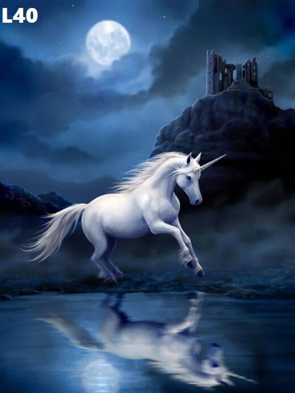 Tin Sign 40x30  L40 - Anne Stokes Moonlight Unicorn