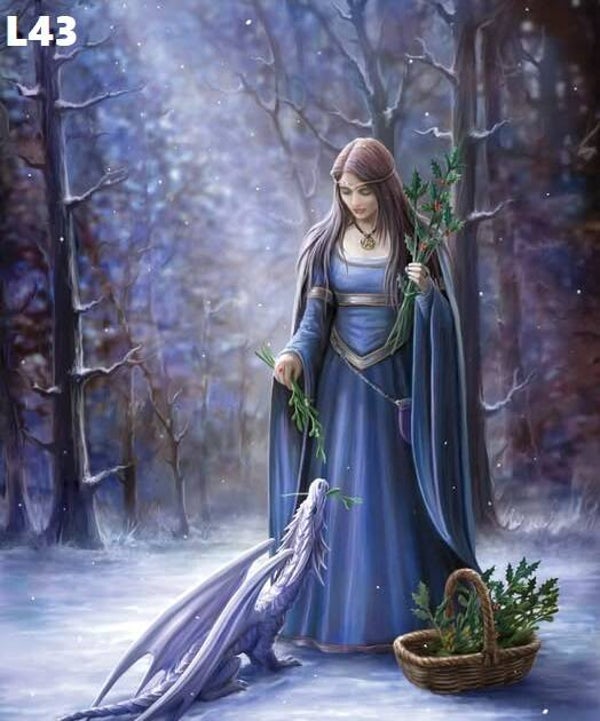 Tin Sign 40x30  L43 - Anne Stokes Solstice Gathering