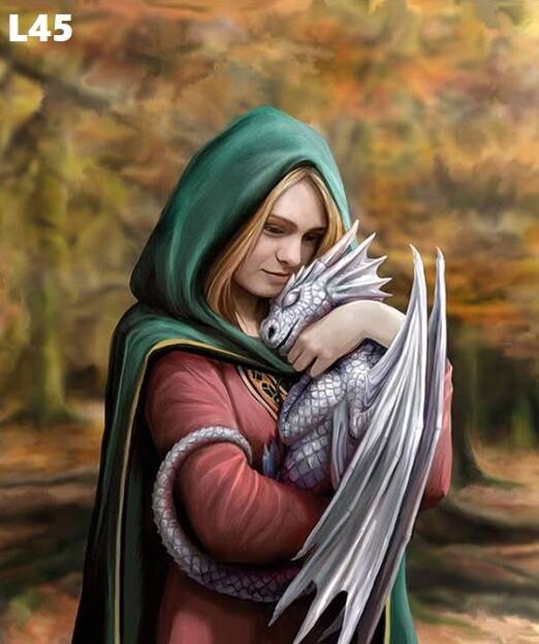 Tin Sign 40x30 L45 - Anne Stokes Safe Haven