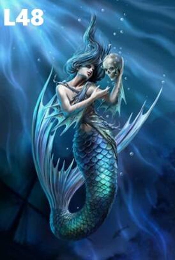 Tin Sign 40x30 L48 - Anne Stokes Sailors Ruin