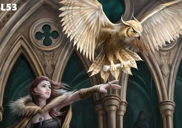 Tin Sign 40x30 L53 - Anne Stokes Owl Messenger