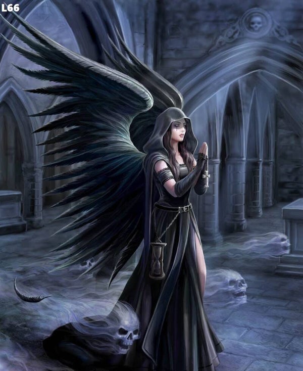 Tin Sign 40x30  L66 - Anne Stokes Harbinger