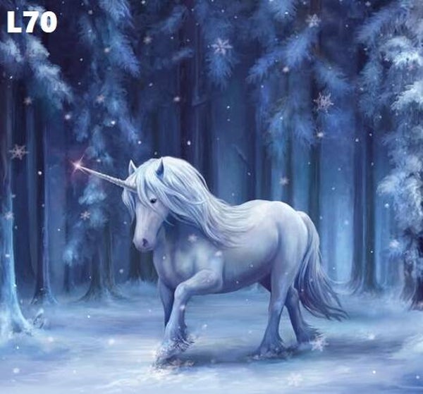 Tin Sign 40x30  L70 - Anne Stokes Winter Wonderland