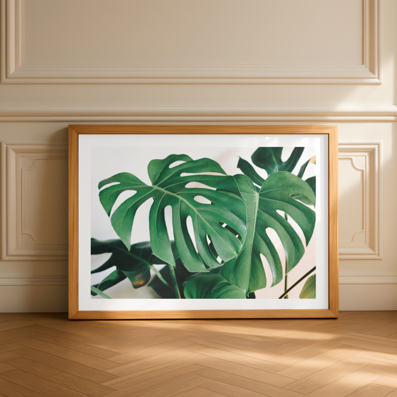 Green monstera leaf botanical wall art print