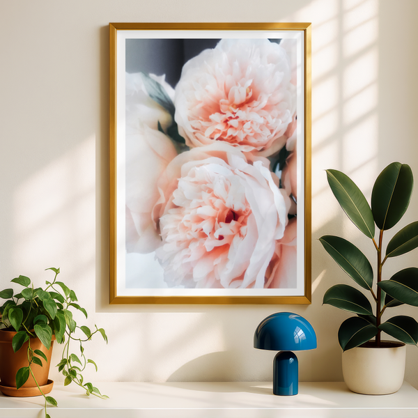 Pink Peonies Print