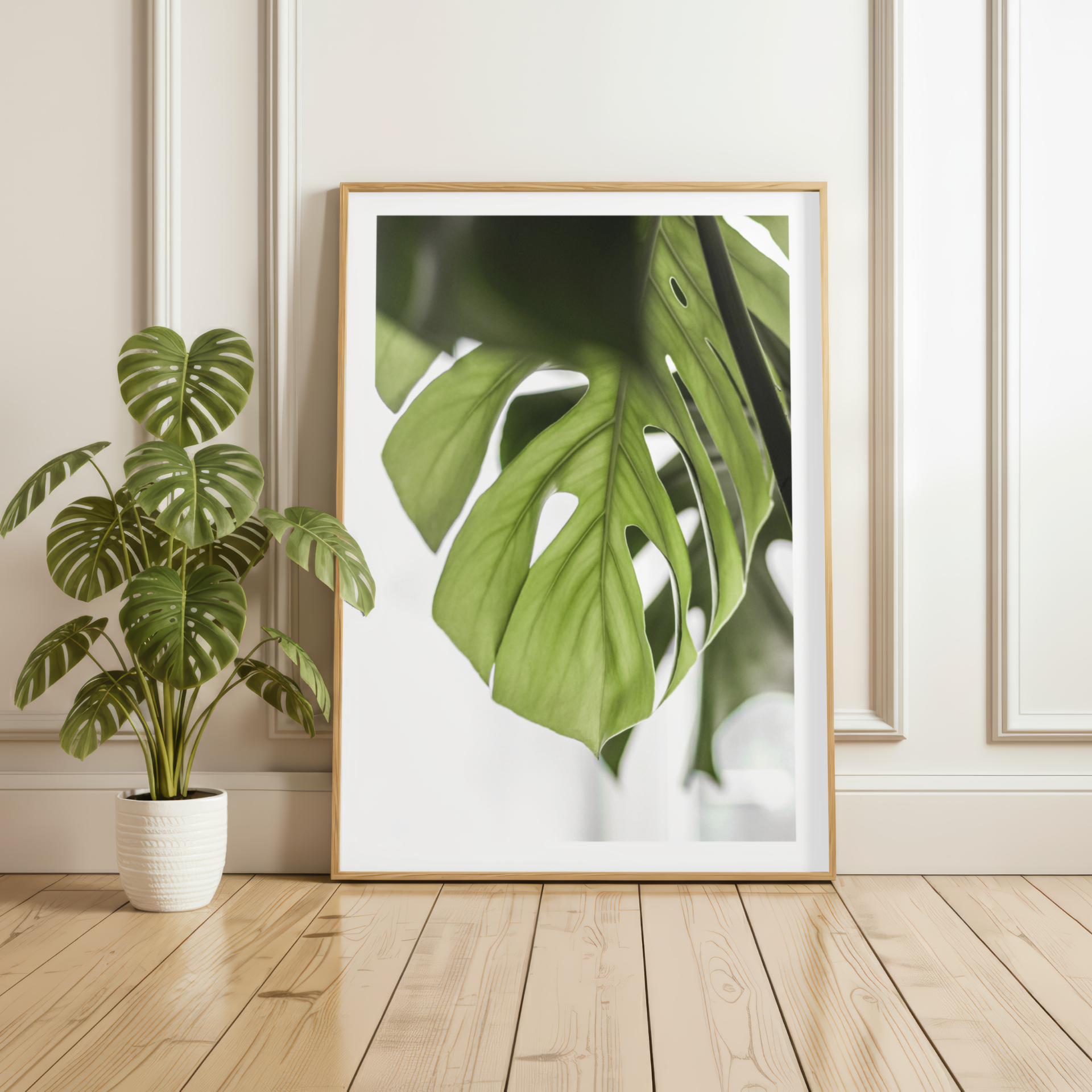 Single Swiss Cheese Plant Leaf Print