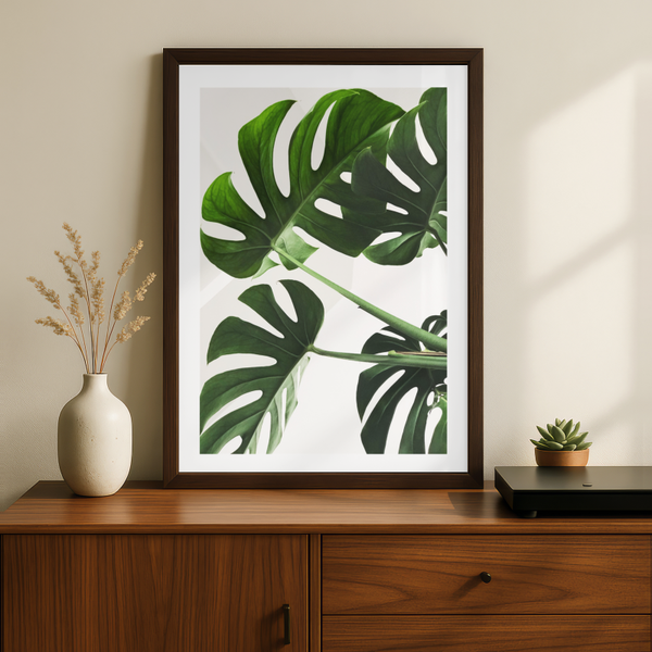 Swiss Cheese Plant Print