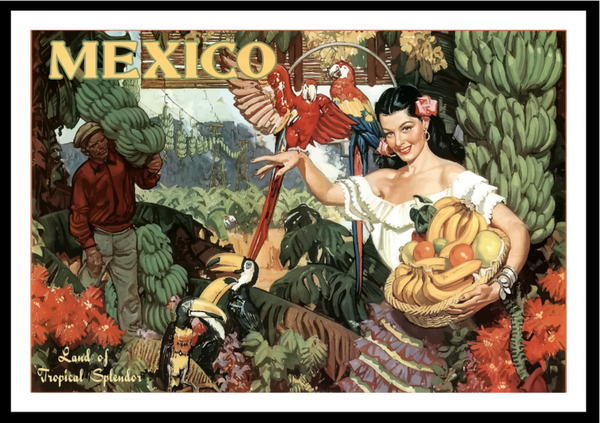 Mexico Print