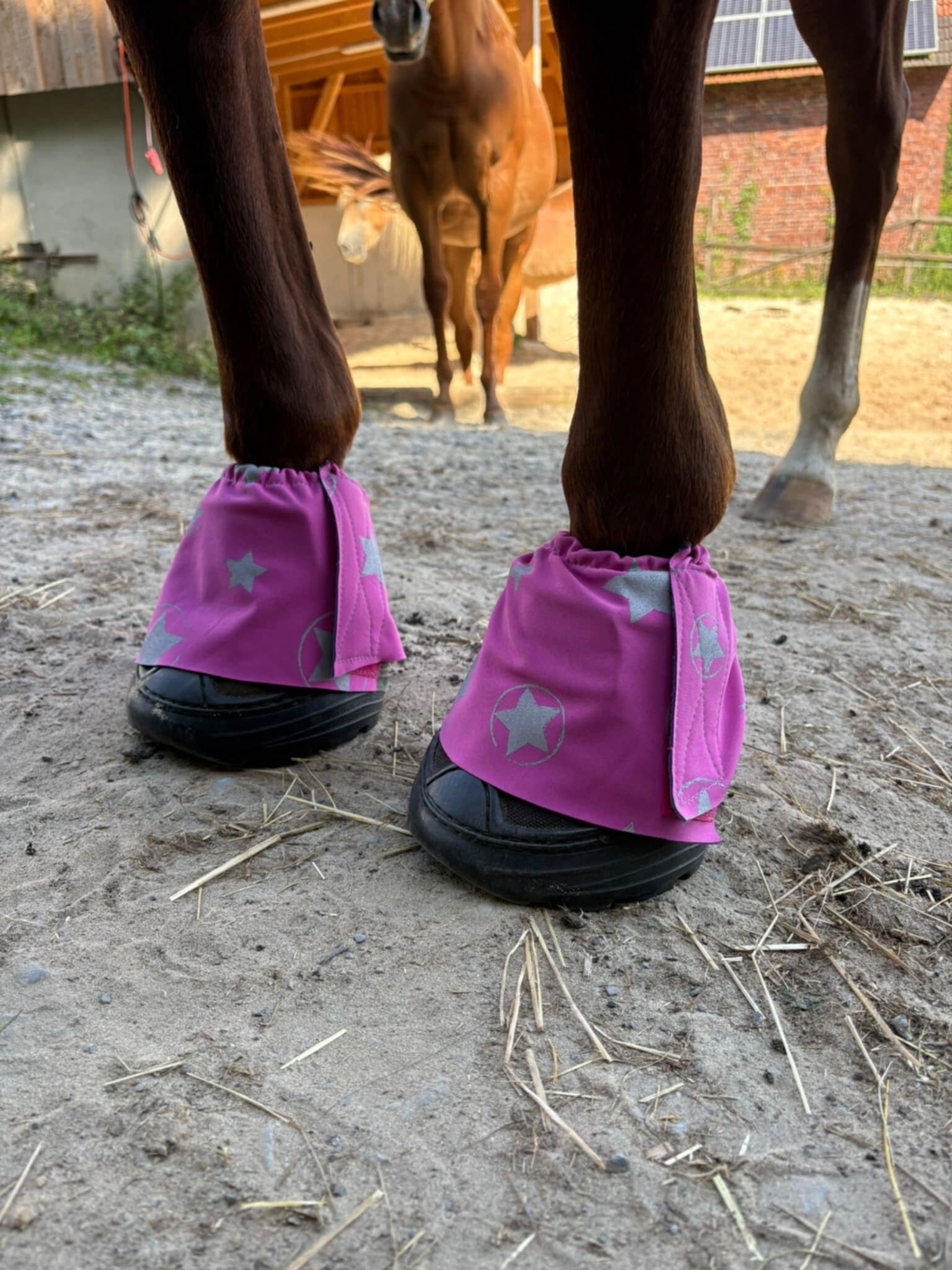 Schmutzfänger Softshell "Mädchen"