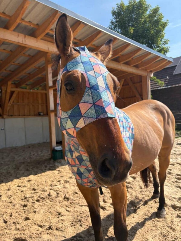 Sleezy Dreiecke blau