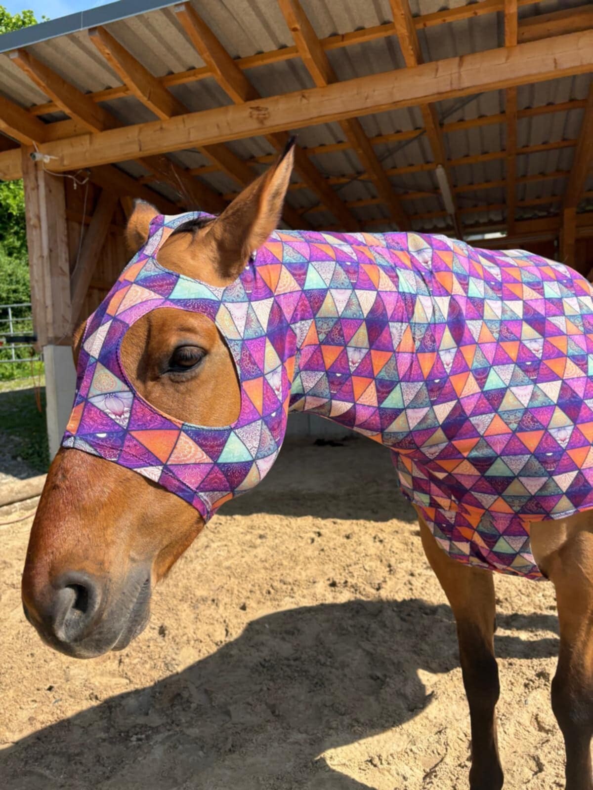 Sleezy Dreiecke lila