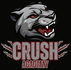 CF Crush Academy