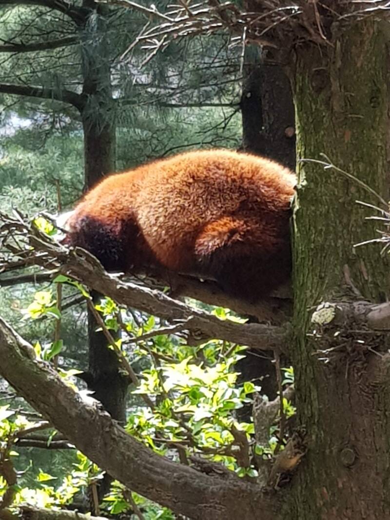 Central Park Zoo (M)
