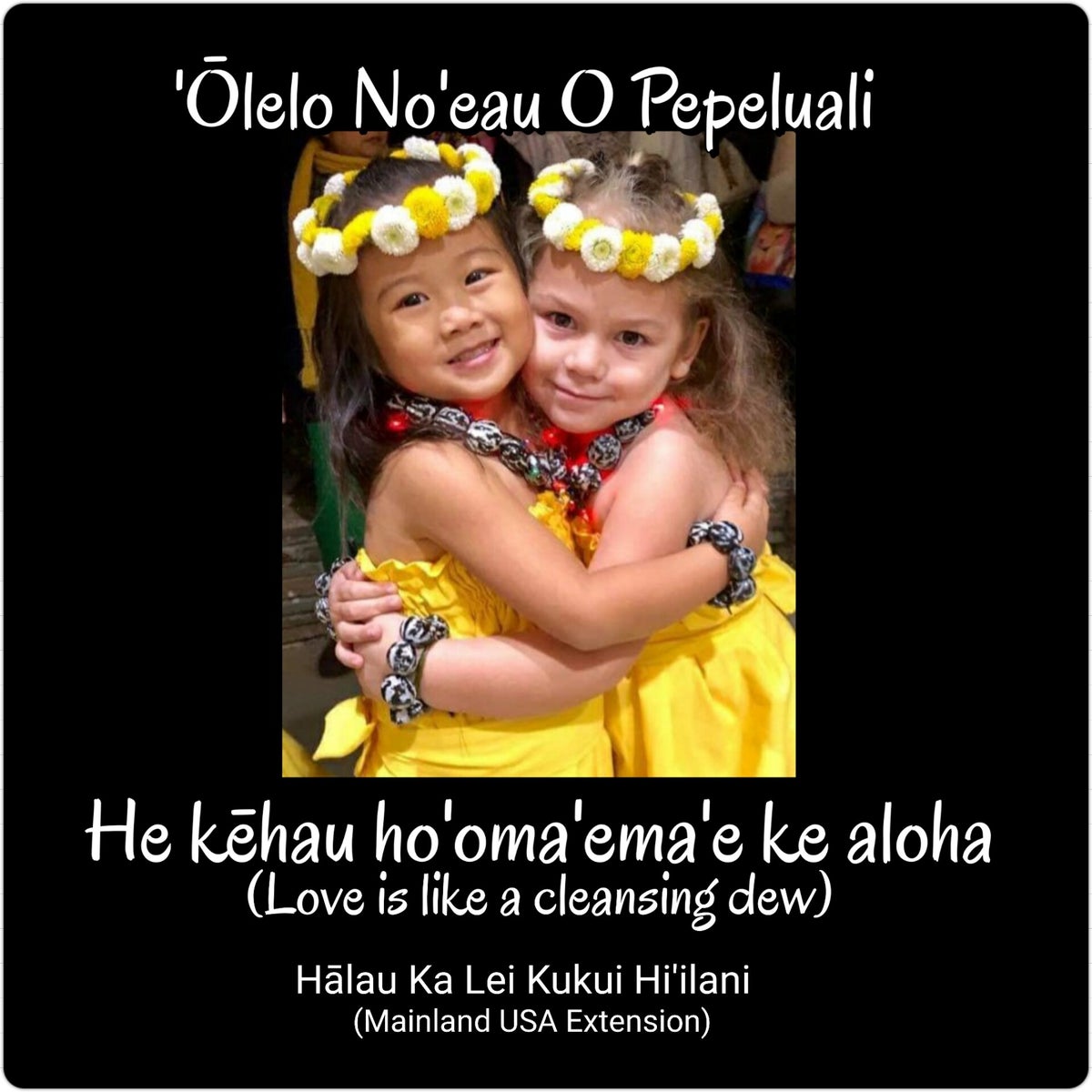 lelo Hawai i H lau Ka Lei Kukui Hi ilani Mainland USA Extension lelo hawai i h lau ka lei kukui hi ilani mainland usa extension