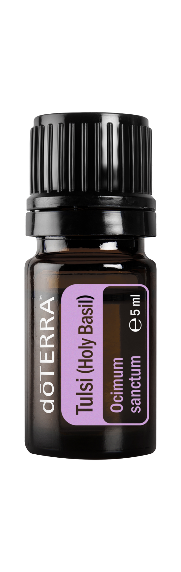 Tulsi