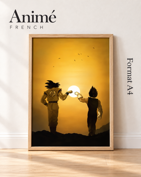 Cadre manga A4 dragon Ball
