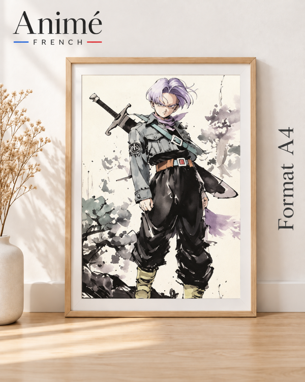 Cadre manga A4 dragon Ball