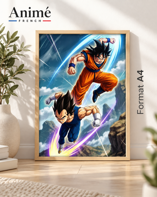 Cadre manga A4 dragon Ball