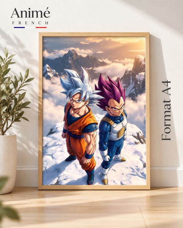 Cadre manga A4 dragon Ball