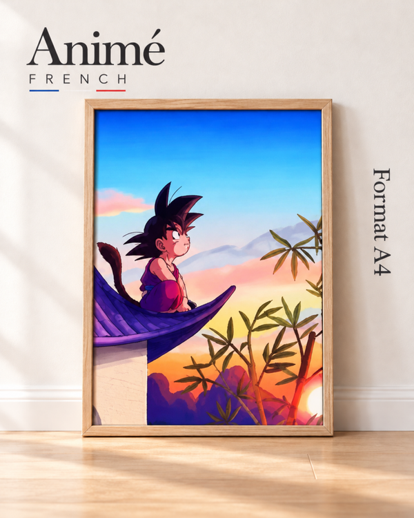 Cadre manga A4 dragon Ball