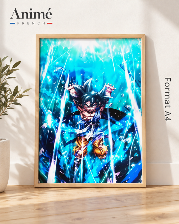 Cadre manga A4 dragon Ball