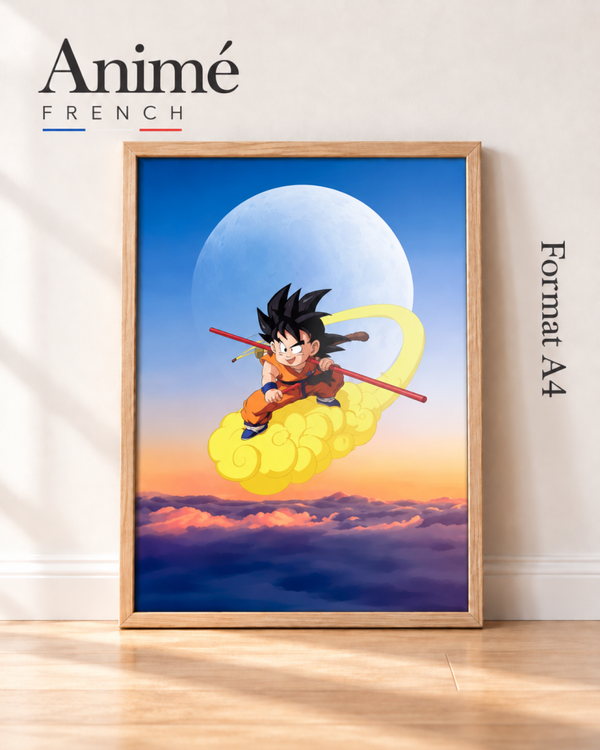 Cadre manga A4 dragon Ball