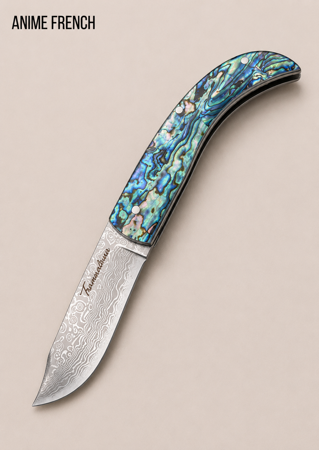 Couteaux ( Acier 420 / HRC 54-56 )