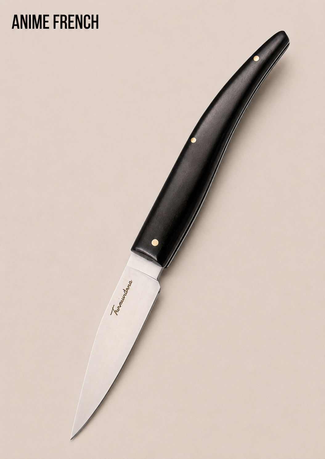 Couteaux ( Acier 420 / HRC 54-56 )