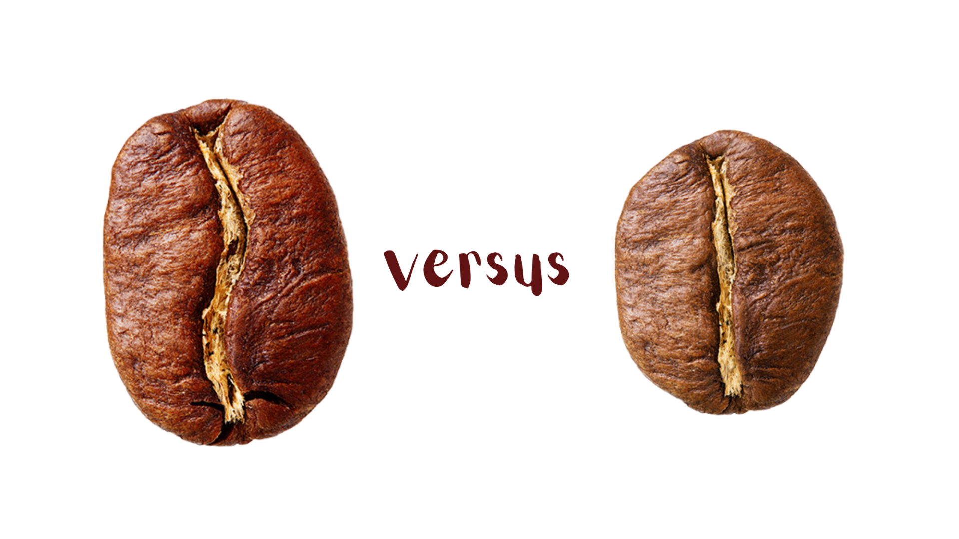 Arabicabonen vs robustabonen