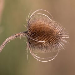 eelco12-standard.jpg