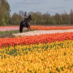 eelco3-standard.jpg
