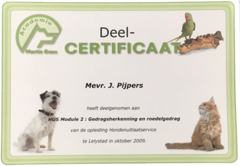 Opleiding hondenuitlaatservice diploma