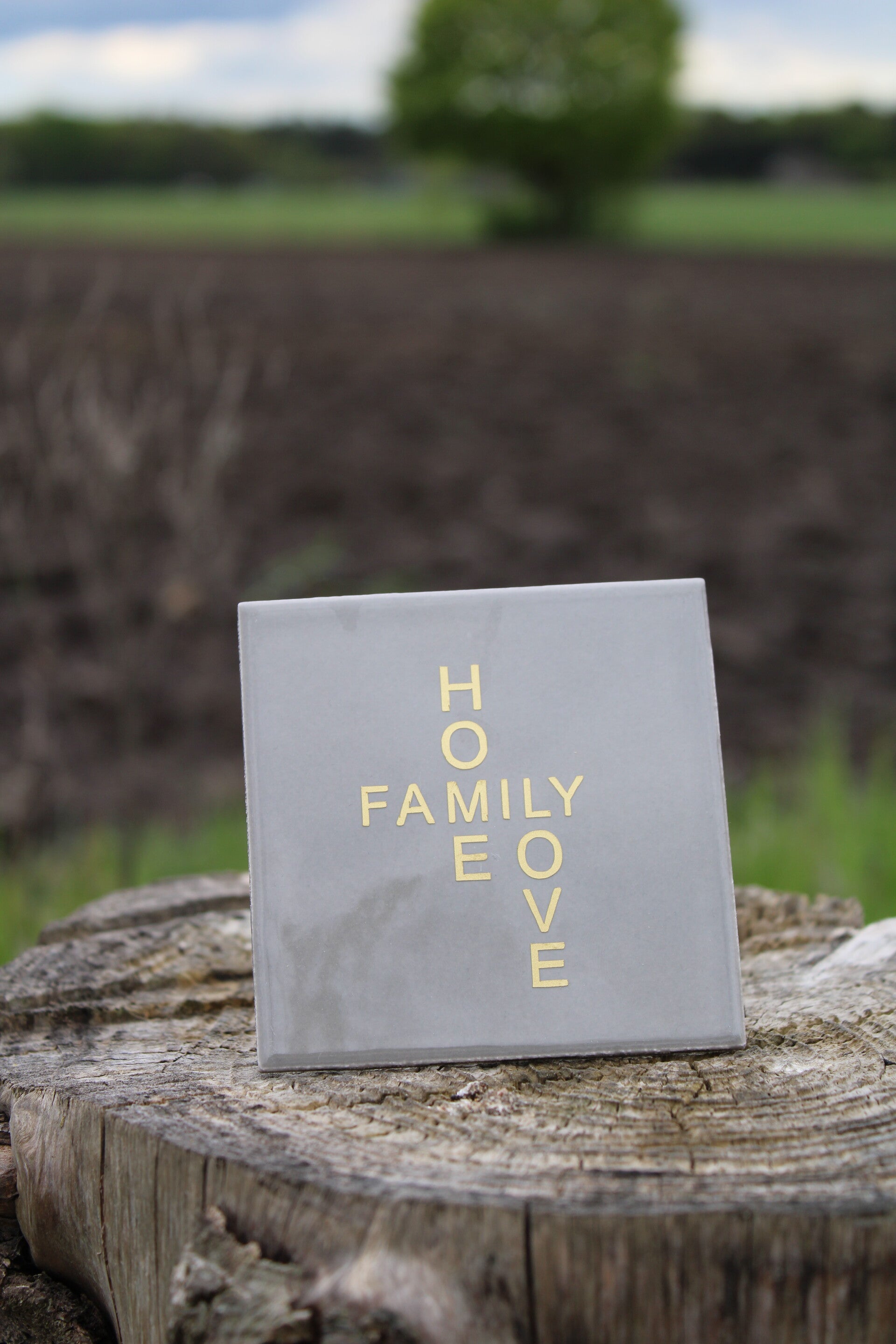 Tegeltje home/family/love