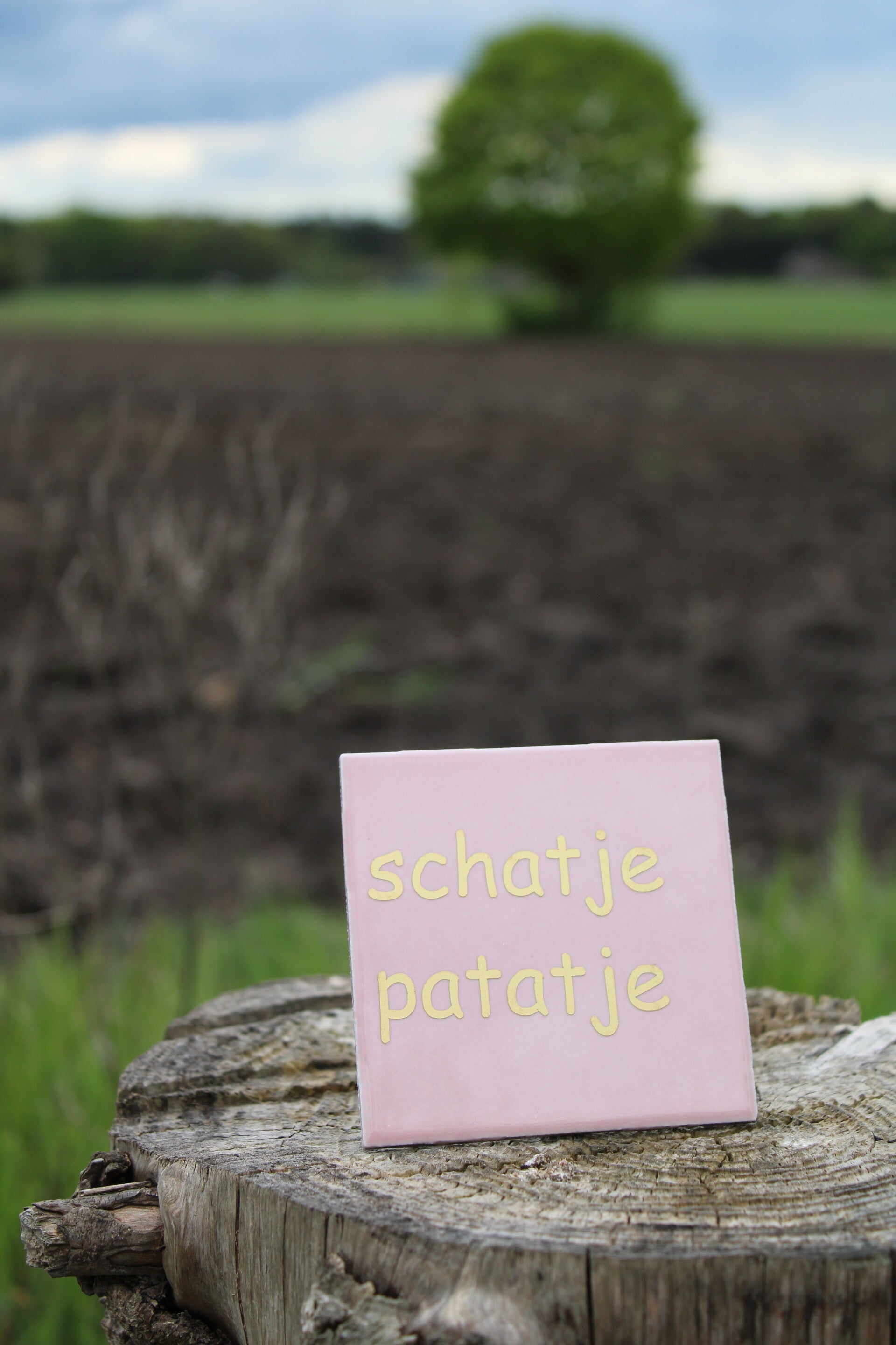 Tegeltje schatje patatje