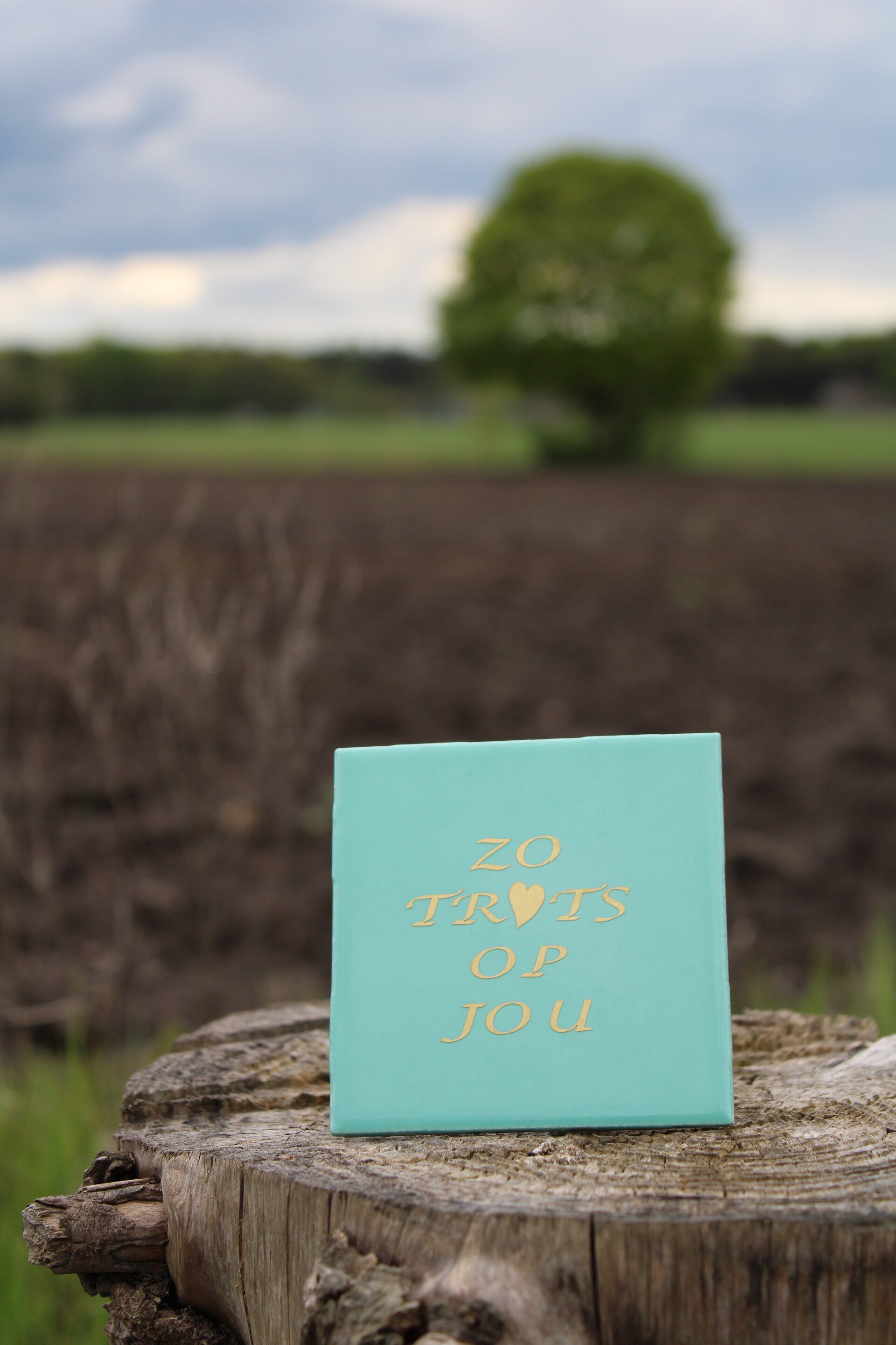 Tegeltje zo trots op jou