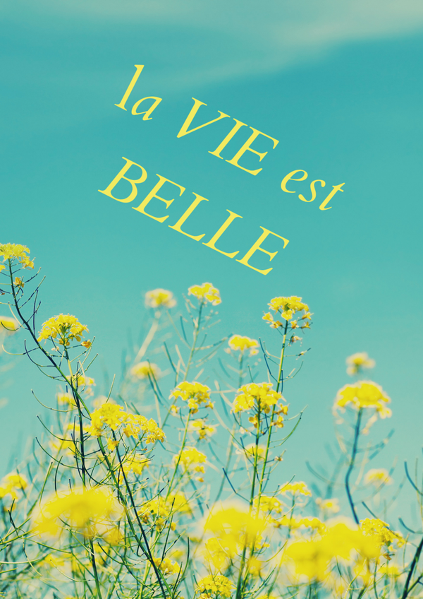 La vie est belle