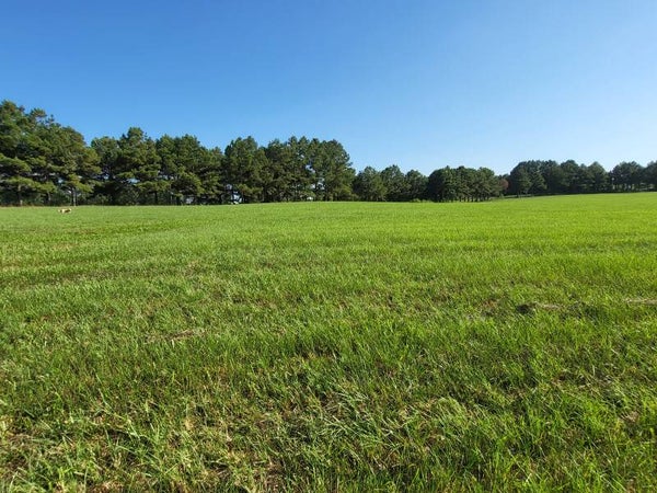 Day of Eclipse Viewing Space