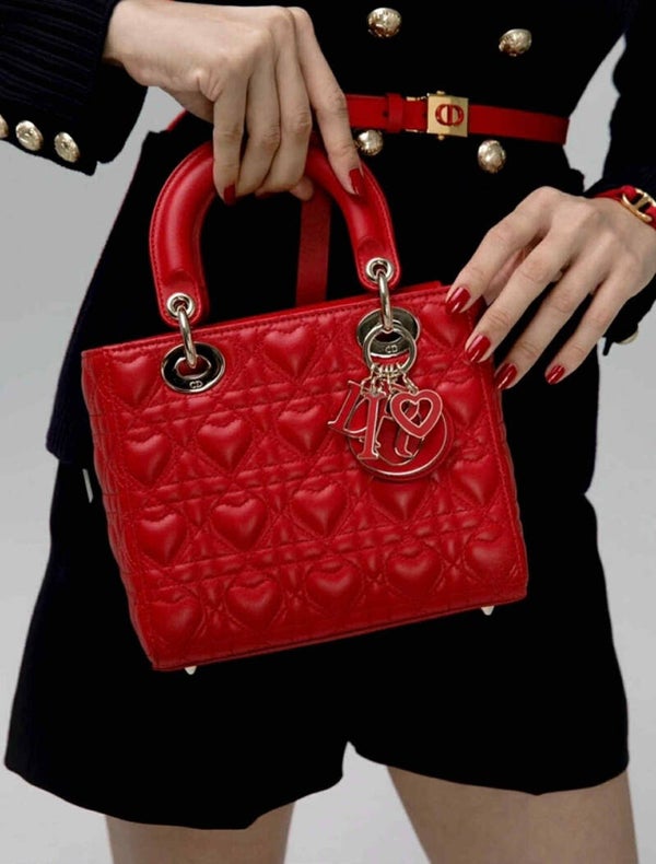 Lady Dior BNIB Special Edition Rare Collector’s Piece