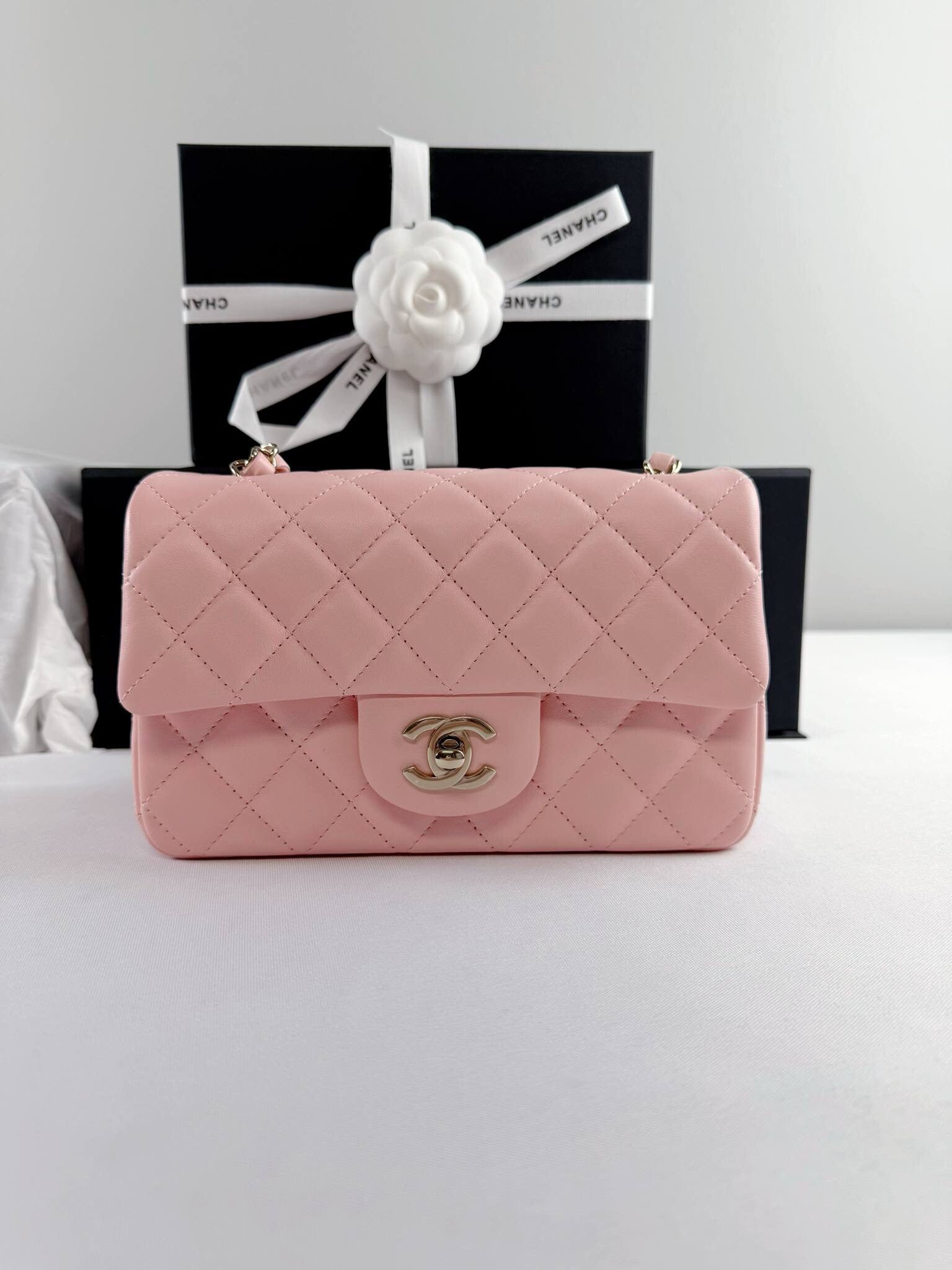 Chanel Light Pink Lambskin Quilted Small Handbag