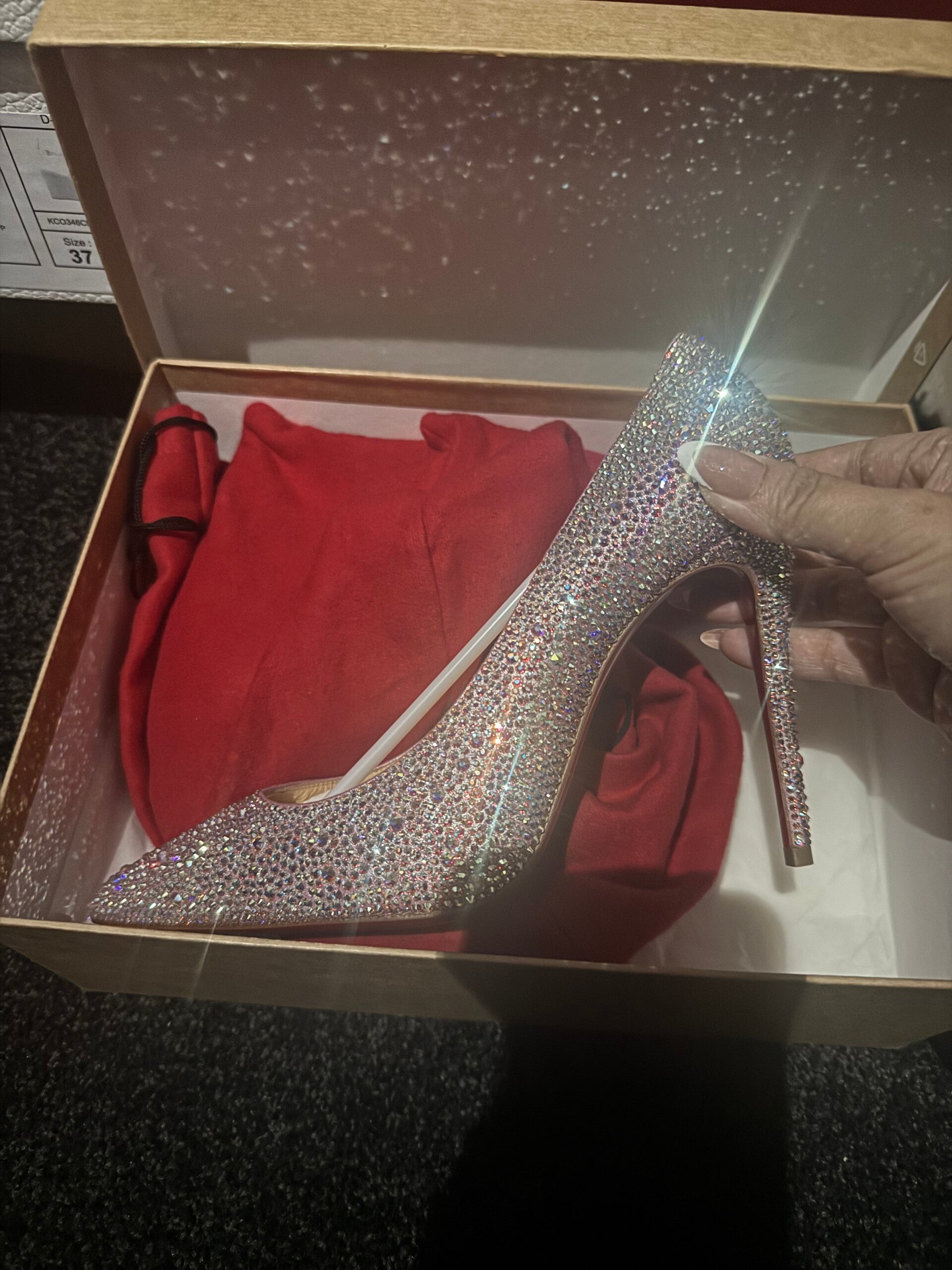 Christian Louboutin Crystal Shoes