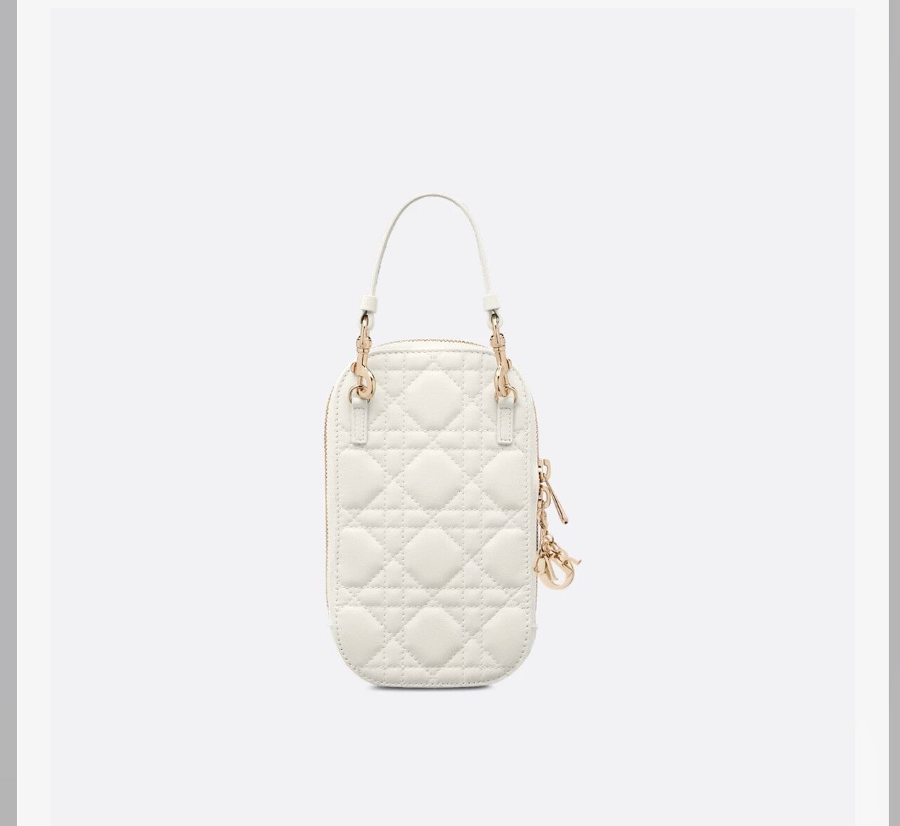Dior phone case crossbody