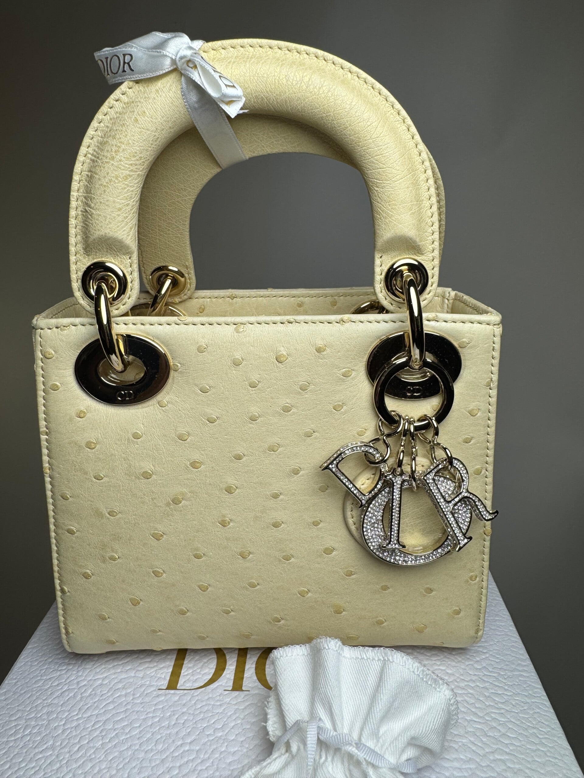 Lady Dior in Ostrich