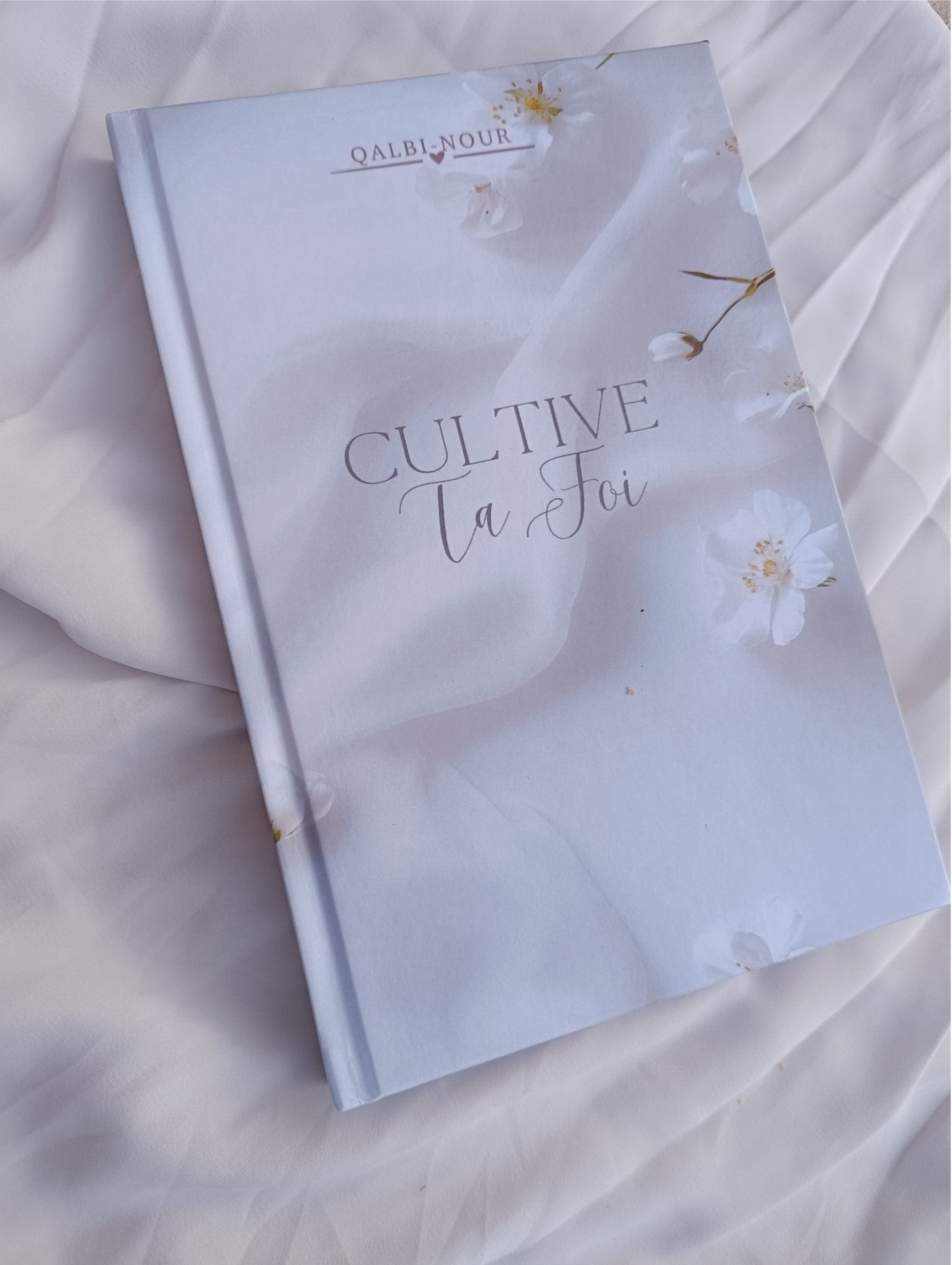 LIVRE : Cultive Ta Foi