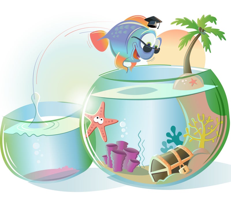 verbeter je omgeving!