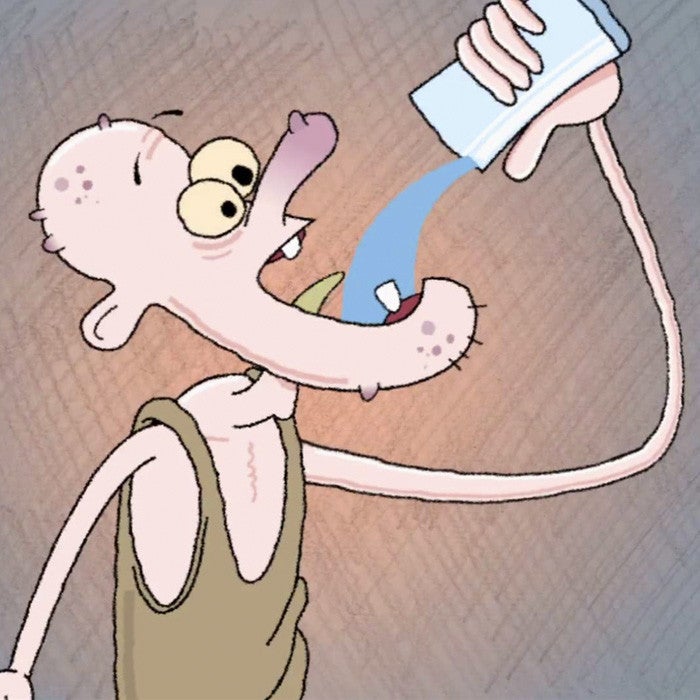 Professor: Willem Muys