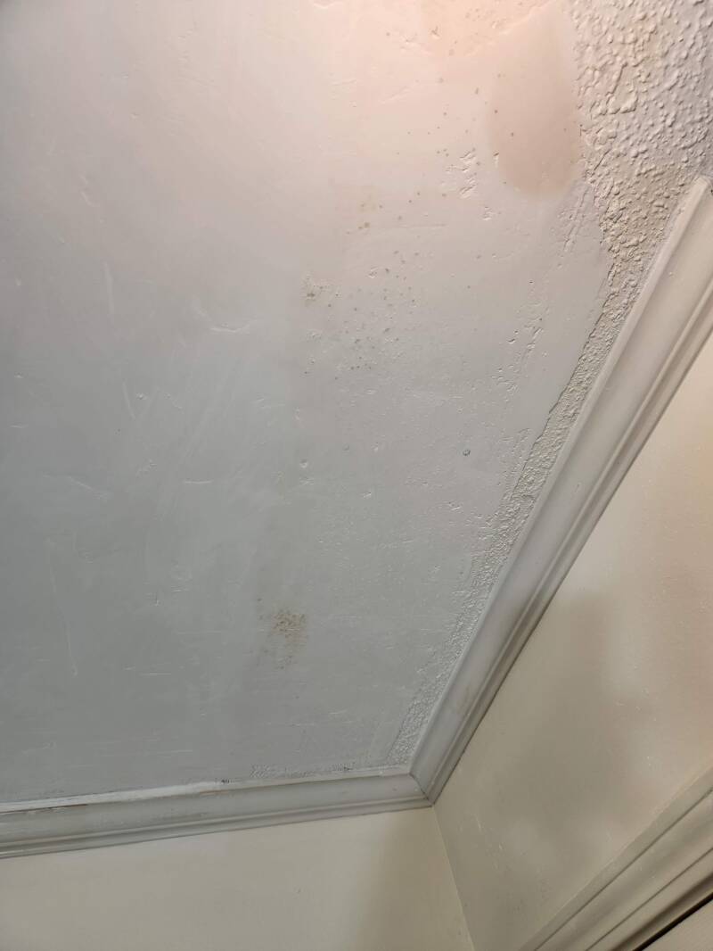20260928_115415-standard.jpg