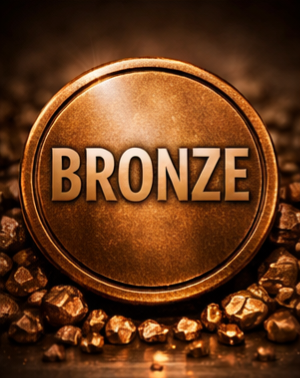 Bronze Sponsorship