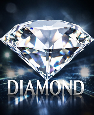 Diamond Sponsorship (Presentation Sponsor)