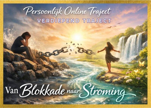 Persoonlijk online traject - Van blokkade naar stroming